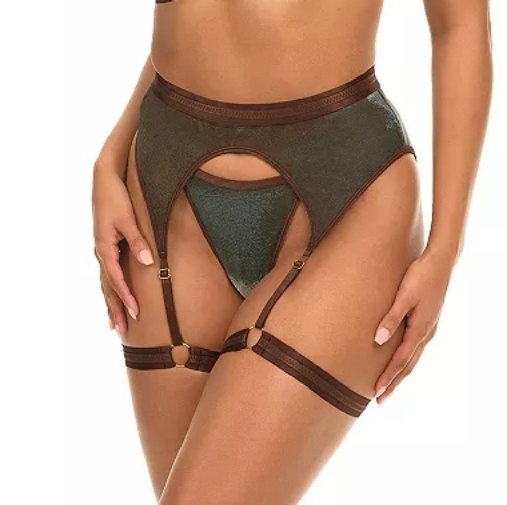 Oh La La Cheri Sheer Metallic Garter Belt Brown Small NWOT